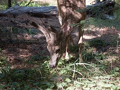 slides/IMG_20190818_170906.jpg  